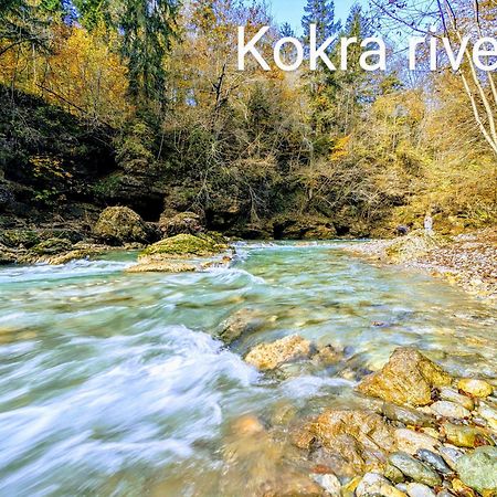 Domen'S Cozy Rentals Kranj Esterno foto