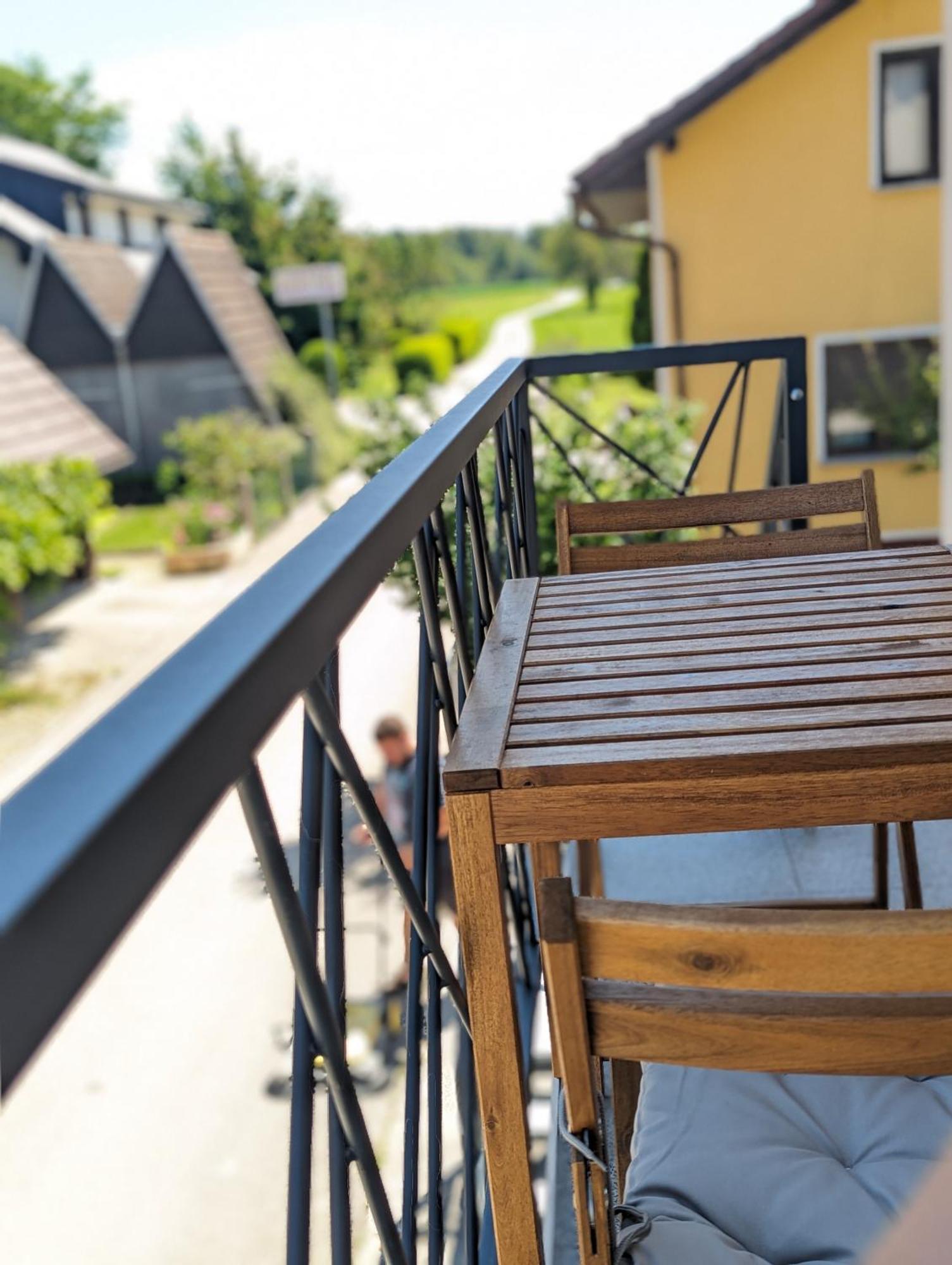 Domen'S Cozy Rentals Kranj Esterno foto