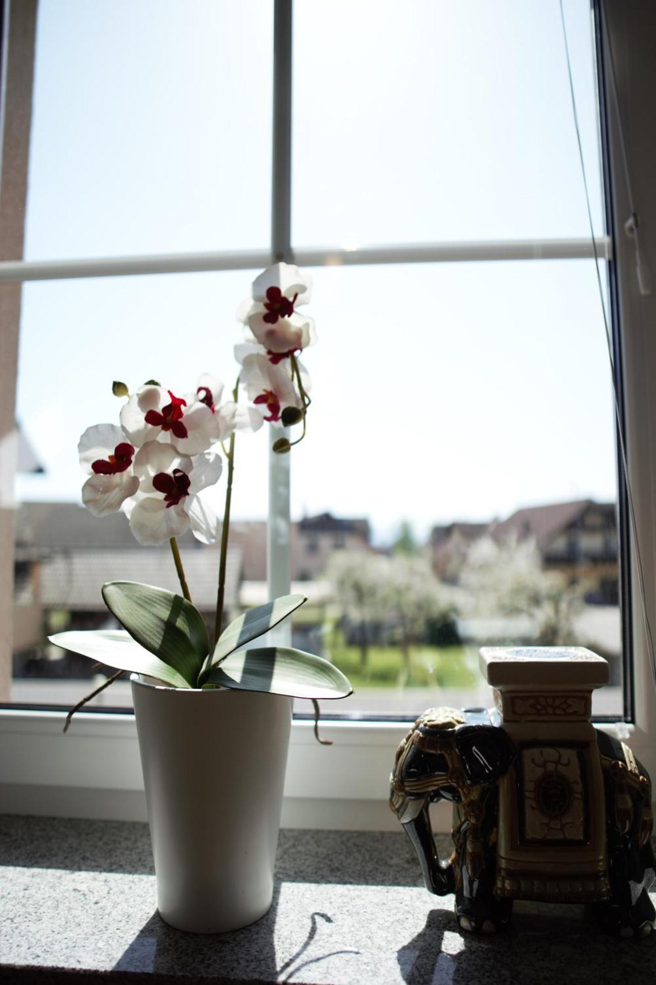 Domen'S Cozy Rentals Kranj Esterno foto