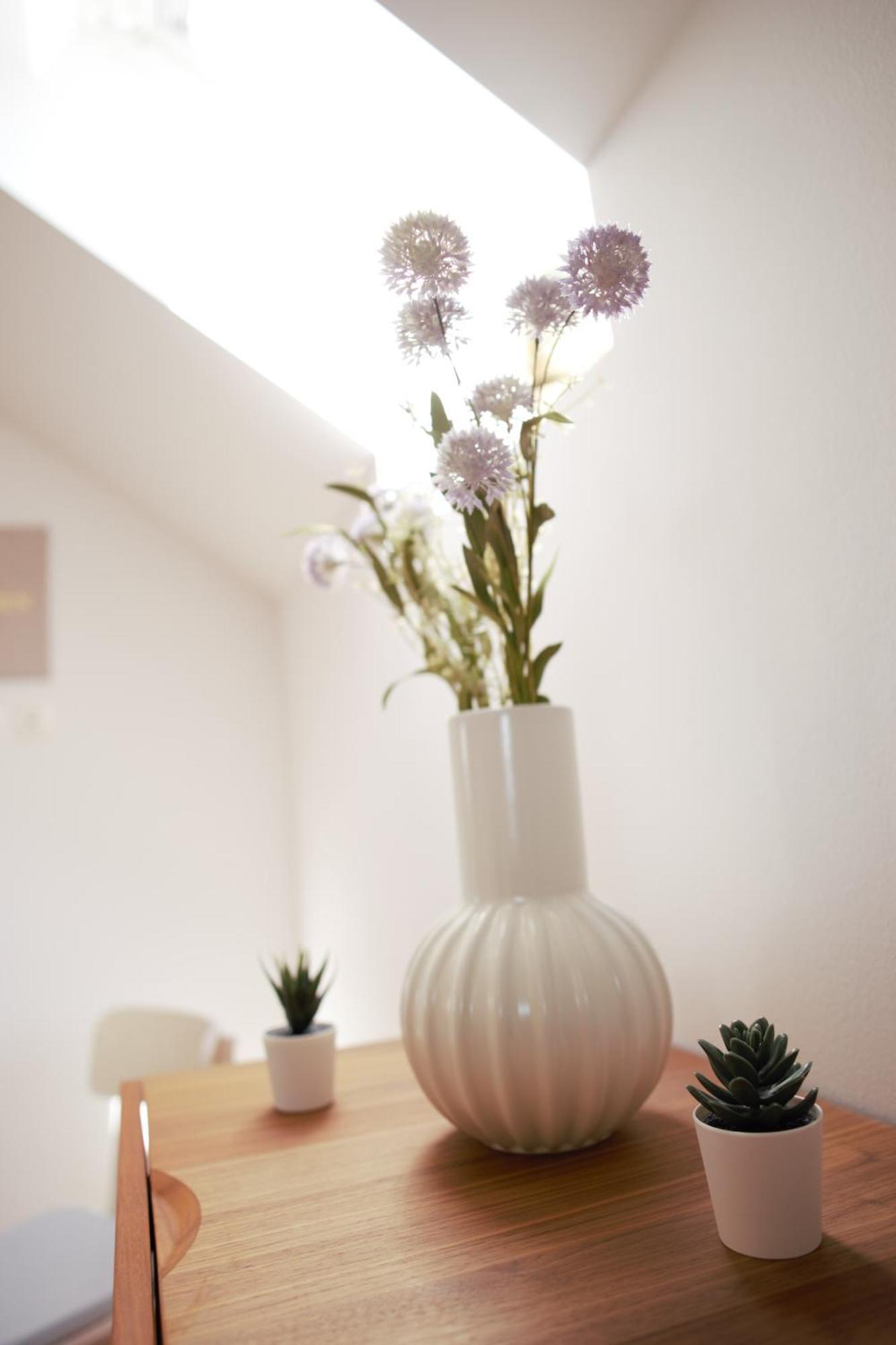 Domen'S Cozy Rentals Kranj Esterno foto